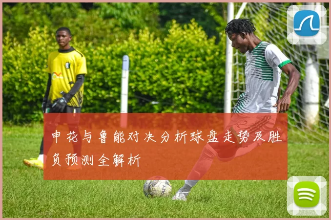 申花与鲁能对决分析球盘走势及胜负预测全解析