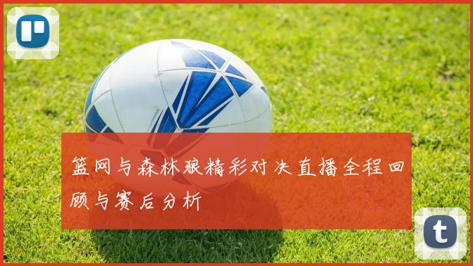 篮网与森林狼精彩对决直播全程回顾与赛后分析